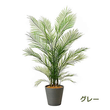 PRGR-1285 アレカヤシ GWプランター H160cm / GREENPARK プリマ