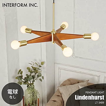 インターフォルム ペンダントライト リンデンハースト LT-3409 LED電球付