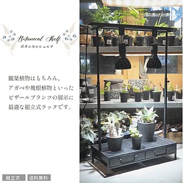 ボタニカルシェルフ アイアンラック