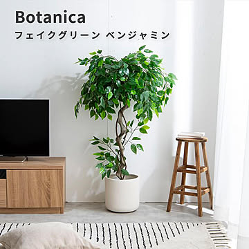 Botanica（ボタニカ） 光触媒 フェイクグリーン ベンジャミン m13509