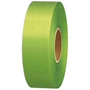 (業務用10セット) ジョインテックス カラーリボン黄緑 24mm*25m10個 B824J-YG10