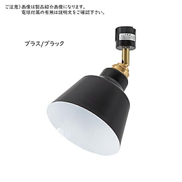 照明 リモコン LED電球付 ダクトレール用 コラット 1灯 スポットライト 幅160x奥行160x高さ240mm TIC