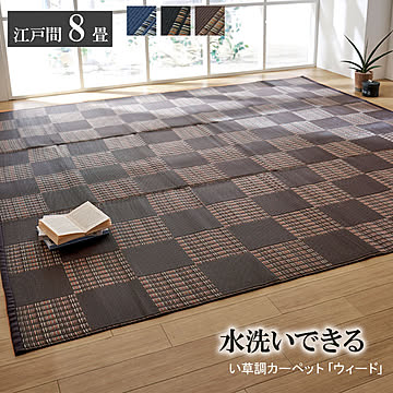 イケヒコ・コーポレーション 洗えるポリプロピレンラグ ウィード 2116902 ブラウン 8畳