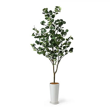 GREENPARK ユーカリ スリムプランター H172cm PRGR-1256 プリマ