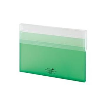 （まとめ）LIHITLAB コングレスケース薄型 A-5035-6 黄緑【×10セット】
