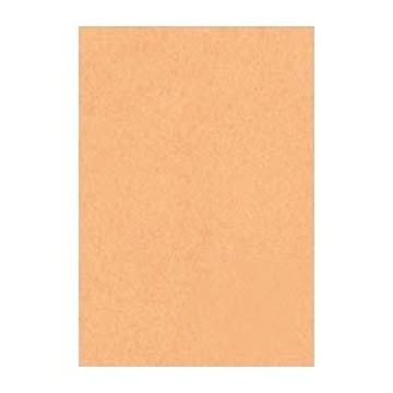 （まとめ） 文運堂 ニューカラーR 八ツ切 横271×縦392mm 8NCR-109 うすちゃ 100枚入 【×2セット】