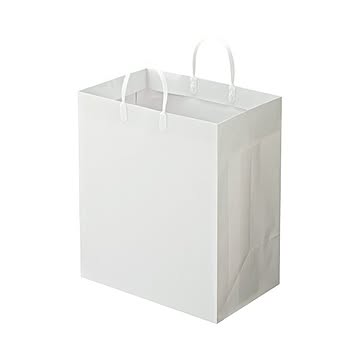 (まとめ) TANOSEE ラミネートバッグ マチ広 ヨコ350×タテ400×マチ幅220mm 白 1パック（10枚） 【×5セット】