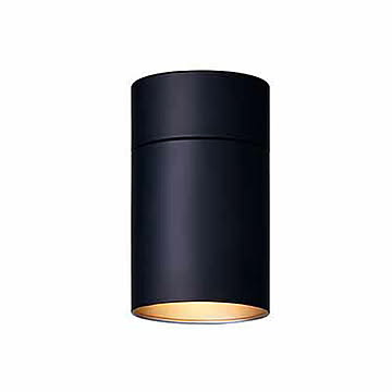 ARTWORKSTUDIO アートワークスタジオ Tube-down light(L) チューブダウンライト(L)(電球なし) AW-0525Z 天井照明 シーリングライト ダウンライト シンプル
