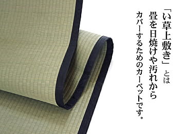 清正 本間8畳 カーペット 純国産 い草 上敷き 熊本県八代産イ草使用 約382×382cm 麻綿織