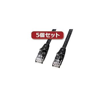 5個セット サンワサプライ カテゴリ6フラットLANケーブル LA-FL6-15BKX5