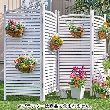 ガーデン パーテーション/衝立 【4連 ルーバータイプ ホワイトウォッシュ】 約幅60cm 天然木 杉材 完成品 〔エクステリア 庭〕