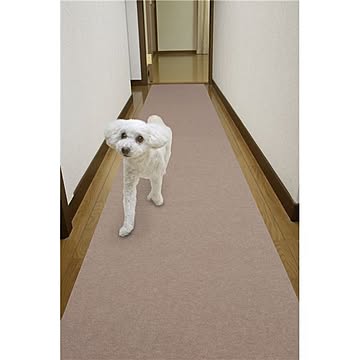 サンコー おくだけ吸着 ペットマット 消臭保護マット60×120cm ブラウン