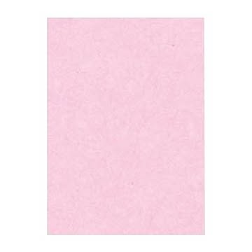 （まとめ） 文運堂 ニューカラーR 四ツ切 横392×縦542mm 4NCR-218 さくら 100枚入 【×2セット】