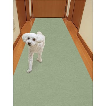 サンコー おくだけ吸着 ペットマット 消臭保護マット60×120cm グリーン
