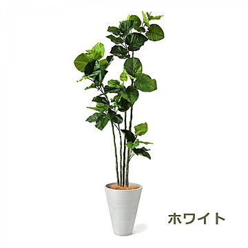 GREENPARK ウンベラータ GWプランター H163cm PRGR-1265 プリマ