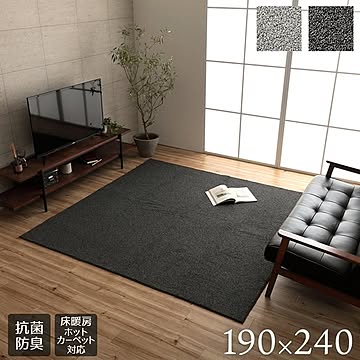 イケヒコ・コーポレーション ラグ クレイド 190×240cm ブラック