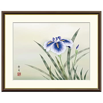 額絵 菖蒲 北山歩生 52x42cm 三幸