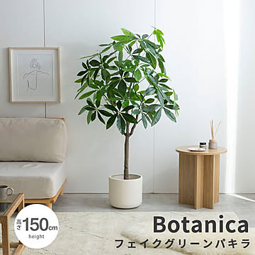Botanica（ボタニカ） 光触媒 フェイクグリーン パキラ m13502