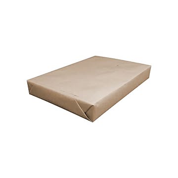 （まとめ）日本製紙 しらおい A4T目127.9g 1冊(250枚) ×2セット