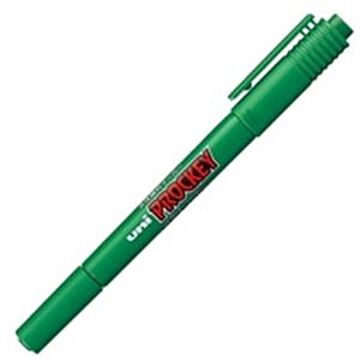 (業務用30セット) 三菱鉛筆 水性ペン/プロッキーツイン 細字/極細 水性顔料インク PM-120T.6 緑