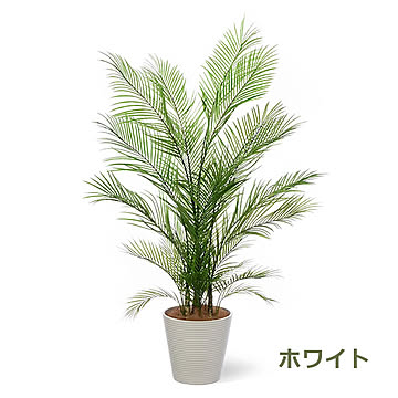 PRGR-1285 アレカヤシ GWプランター H160cm / GREENPARK プリマ