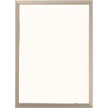 多目的 フレーム/額縁 【B4 シルバー】 表面カバー：UVカット機能付きPET 『かる！フレーム』