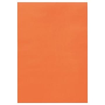 （まとめ） TANOSEE 色画用紙 四つ切 だいだい 1パック（10枚） 【×15セット】