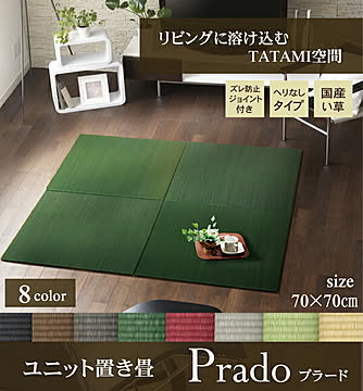 イケヒコ・コーポレーション 置き畳 プラード 70×70cm ダークグリーン 8313709
