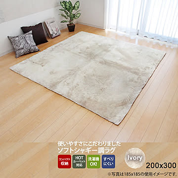 イケヒコ・コーポレーション シャギー調ラグ ラルジュ 約200×300cm アイボリー