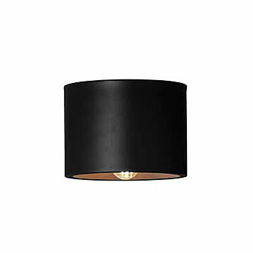 Eve-ceiling light イブシーリングライト (電球なし/モノトーンカラーモデル) AW-0635Z シーリングランプ 1灯 天井照明 LED球専用 E17