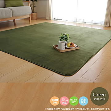 イケヒコ・コーポレーション ピオニー IT BR 200×250cm グリーン