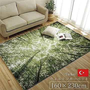 ウィルトンカーペット グリーン 約160×230cm トルコ製