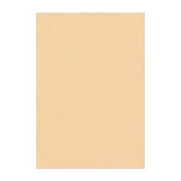 （まとめ） 文運堂 ニューカラーR 八ツ切 横271×縦392mm 8NCR-111 しらちゃ 100枚入 【×2セット】