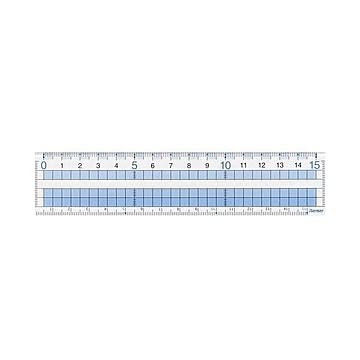 (まとめ) レイメイ藤井 見やすい方眼定規 15cmAJH158 1本 【×50セット】