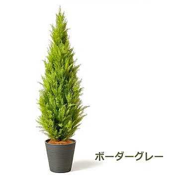 GREENPARK ゴールドクレストM GWプランター H163cm PRGR-1246 プリマ