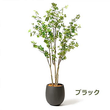 GREENPARK ドウダンツツジ エッグポット H160cm PRGR-1250 プリマ