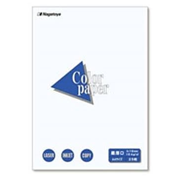 (業務用10セット)Nagatoya カラーペーパー/コピー用紙 A4/最厚口 25枚 両面印刷対応 ホワイト(白)