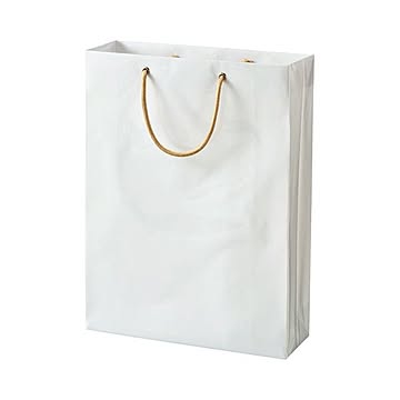 （まとめ） TANOSEE ビニールカバー付手提げ袋 M ヨコ330×タテ440×マチ幅110mm 白無地 1パック（10枚） 【×3セット】
