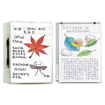 （まとめ）透明掲示ホルダー A4【×100セット】