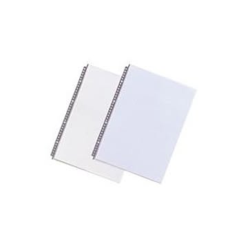 （まとめ）LIHITLAB クリヤーポケット クリアポケット N-2007 B4S 10枚 グレー【×10セット】