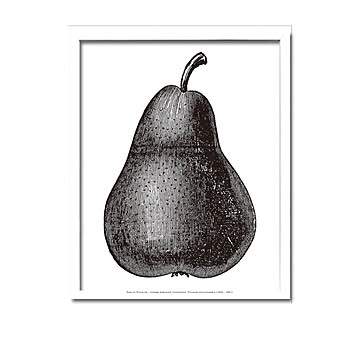 Pear Black アートポスター（フレーム付き） m13100