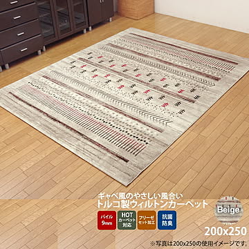 イケヒコ・コーポレーション マリア ウィルトン織りラグ ベージュ 200×250cm 2334609