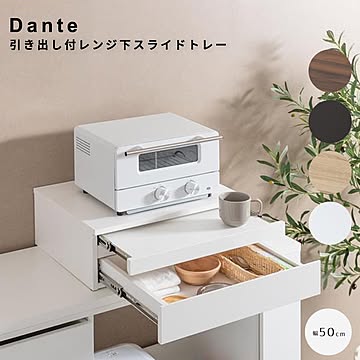 Dante（ダンテ） 引き出し付レンジ下スライドトレー 幅50cmタイプ m13598