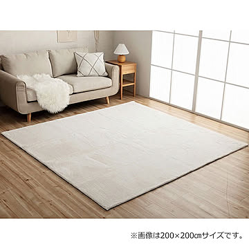 イケヒコ・コーポレーション フェイクファーラグ ラピアス スノーホワイト 200×300cm