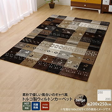 イケヒコ・コーポレーション フォリア ラグ 200×250cm ベージュ 2340319