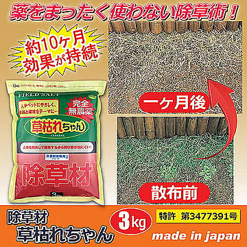 旭東 除草材「草枯れちゃん」3kg 877365 管理No. 4936980520763