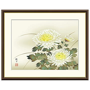 額絵 菊花 森山観月 42x34cm 三幸