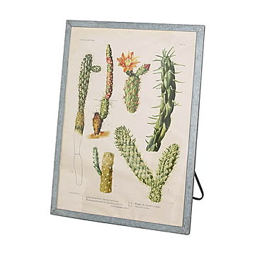 額縁 GALVANIZED FRAME STAND RN-0400-A1 幅655x奥行20x高さ905mm ダルトン