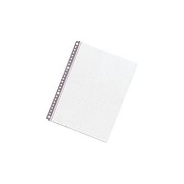 （まとめ）LIHITLAB クリヤーポケット クリアポケット N-2005 B5S 10枚 グレー【×10セット】
