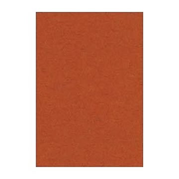 （まとめ） 文運堂 ニューカラーR 八ツ切 横271×縦392mm 8NCR-236 ちゃいろ 100枚入 【×2セット】